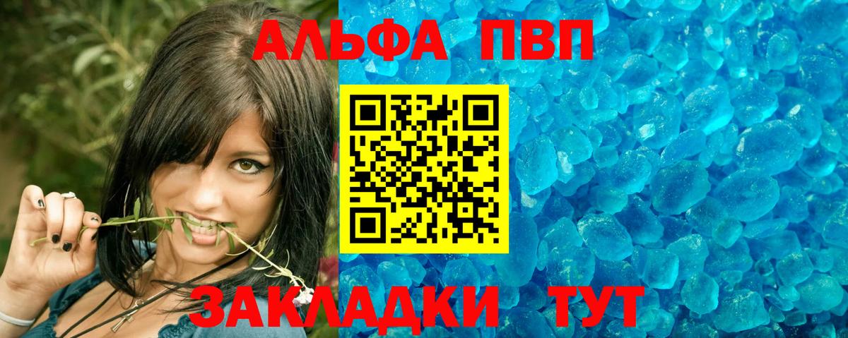 Альфа ПВП СК Новокузнецк