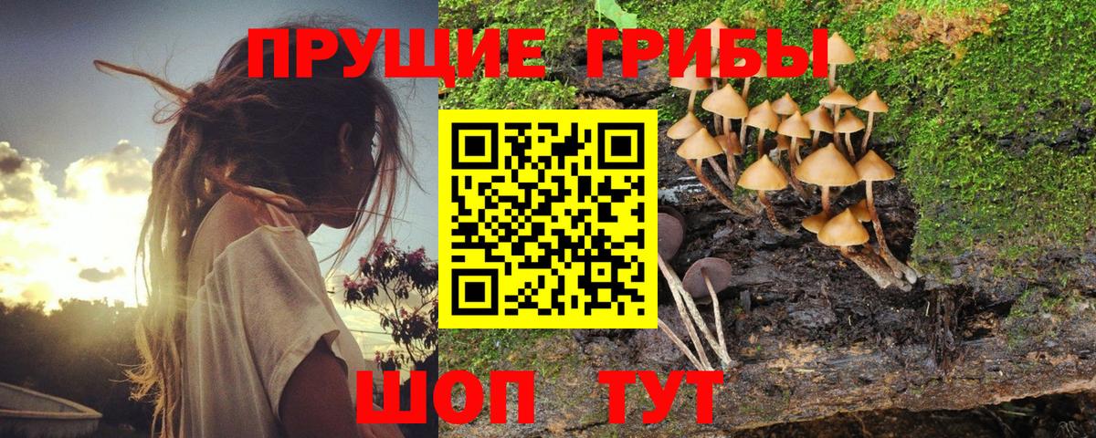 Псилоцибиновые грибы ЛСД  Вход с VPN  Галлюциногенные грибы мухоморы  Новокузнецк 