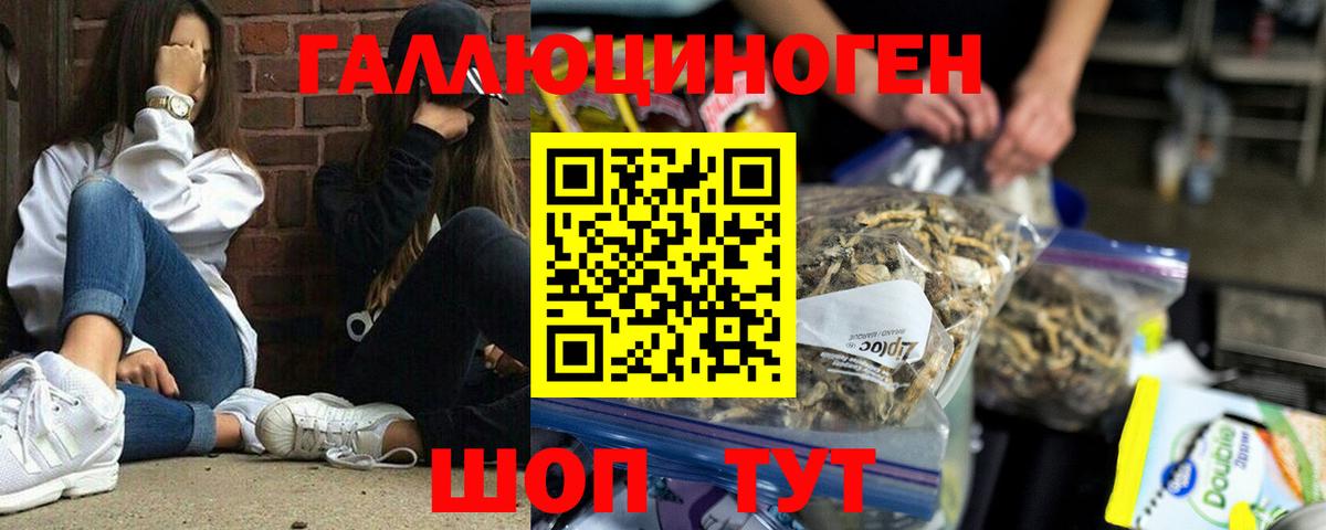 Псилоцибиновые грибы ЛСД Новокузнецк